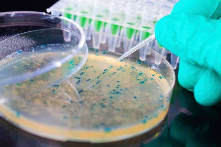 30 års overvågning viser, at antibiotikaresistens kan presses tilbage